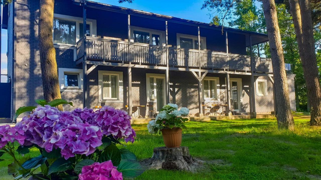 Guest House Saulgriezes Nīca Exterior foto